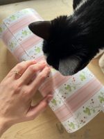 Strawberries and Stripes Wrapping Paper - Image 2
