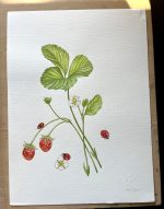 Strawberries and ladybugs Unframed Original
