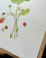 Strawberries and ladybugs Unframed Original - Image 2