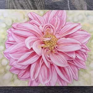 Pink Dahlia Unframed Original