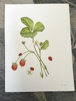 Strawberries and ladybugs Unframed Original