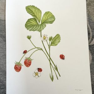 Strawberries and ladybugs Unframed Original